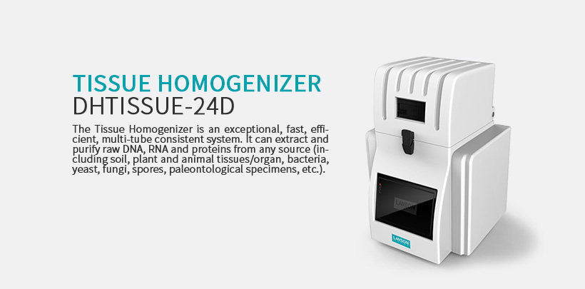 Tissue Homogenizer DHTISSUE-24D